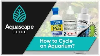 AquascapeGuide - How to Cycle an Aquarium
