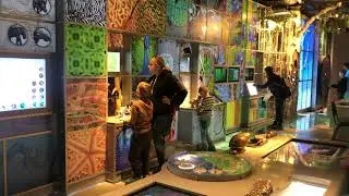 Стеклянный пол в Дарвиновском музее