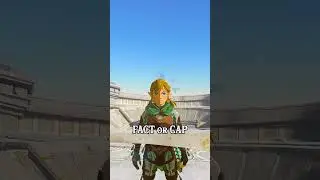 Ravio's Hood FACT or CAP | Tears of the Kingdom