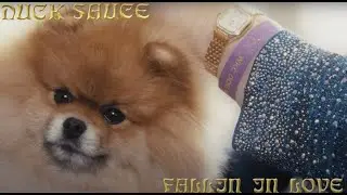 Duck Sauce - Fallin In Love (Official Deep Fake Video)