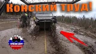 Квадроспор 3!  Конский труд! БЕГИ ДАВАЙ! Или ПЕЛЕЦ ВСЕМ! часть2