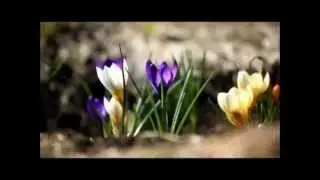 Пробуждение весны.  Релакс