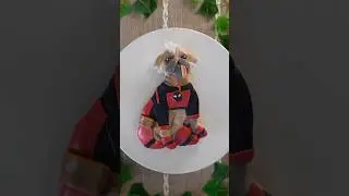 not to be dramatic but I would die for Dogpool😭❤️ #deadpool #dogpool #cake #shorts