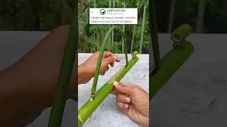 ЕГО НЕ ВОЗМУТИТЬ🤣 #приколы #юмор #анекдоты