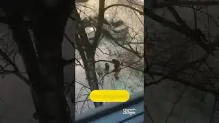 Уборка мусора в Москве