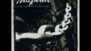 Rapture - Transfixion