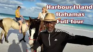 PINK Sand Beach & Harbour Island Tour