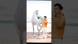 🐎 horse photoshoot ❣️