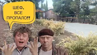 Озелененения Ялты на территориях благоустройсва! Что это было? Общественный контроль #контроль