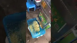 cassava grater