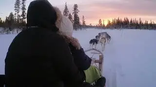 Auf Husky-Tour in Norwegen und Lappland