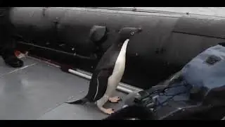 Б@