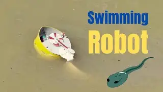 DIY Tadpole Robot Science Project – Creative Handmade Aquatic Life Experiment!