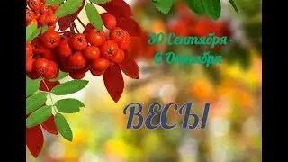 ВЕСЫ! ТАРО ПРОГНОЗ С 30 СЕНТЯБРЯ ПО 6 ОКТЯБРЯ!