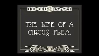 THE LIFE OF A CIRCUS FLEA (Robert Dorschel)