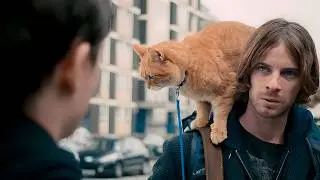 Он нашел бездомного Кота, даже не подозревая что это спасет ему жизнь