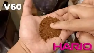 Hario V60 Grinder Calibration Dialing In V60 Grind Size