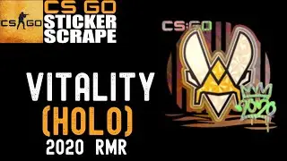 CSGO - Sticker | Vitality (Holo) | 2020 RMR - Scrape - Counter Strike (CLEAN SCRAPE)