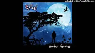 Grupo Yeah - Noches Oscuras (Audio)