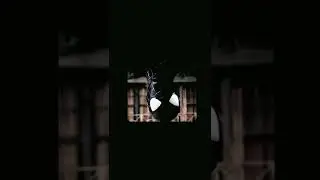 Spider-Man Last Hunt Live Action