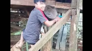 kenapa harus jatoh si banh