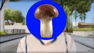 GTA SA [Грибы - Тает Лёд]