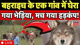 LIVE Wolf Attack in Bahraich: एक गांव में घेरा गया भेड़िया, मच गया हड़कंप!| Bhediya Attack| Live News