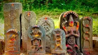 nagaraja song