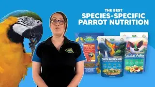 Species-Specific Diets for Parrots