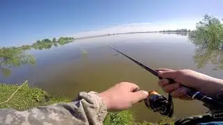 Половодие на реке Обь