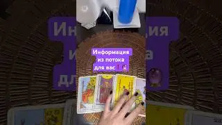 Информация из потока для вас❗️