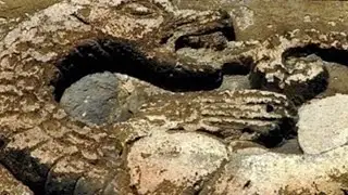 История: переводить, понимать, оценивать (К юбилею М.А. Юсима). Вступление и Секция 2.