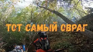 ТОТ САМЫЙ ОВРАГ // ДУХОВОЙ ЛЕС 2023