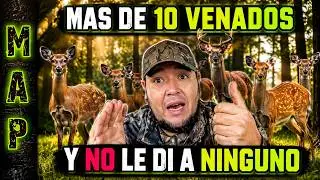 VI MAS DE 10 VENADOS Y NO LE DI A NINGUNO ,/,,/