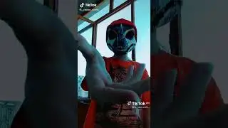 Рапторы из тик тока(не мои)