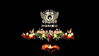 Condolence to Pro Gamer Romeo - Insurgency 2014