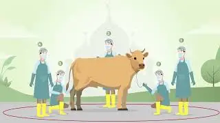 video tutorial  penyembelihan KURBAN