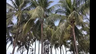 Едем в отпуск!!!