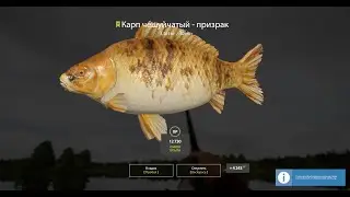 Русская Рыбалка. Янтарка (Раздача)