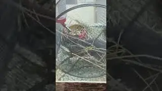 Понедельник