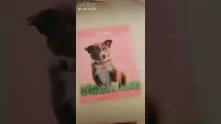 Канцелярия 2019!!!😇☺☺☺👍