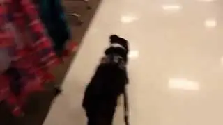 Jessie: Task find exit