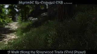 SkyrimSE Re-Engaged ENB--A Walk Along the Riverwood Trail (Vivid Preset)