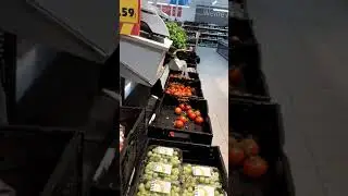 Бахор омад