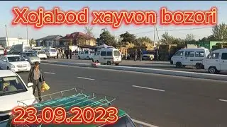 Андижон вилояти Хожабод Хайвон бозори Факат сотилганлари.23.09.2023