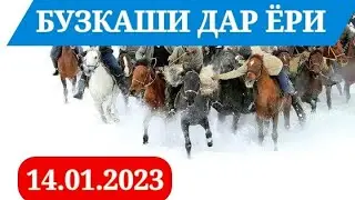 БУЗКАШИ ДАР ЁРИ 14.01.2023