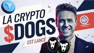 🚀Le Token $DOGS est lancé pour de vrai maintenant🚀