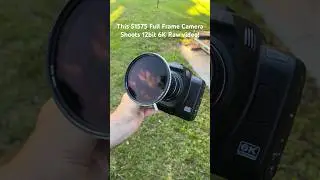 This $1575 Full Frame Camera is Insane!