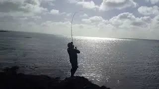 THE DREAM FISH