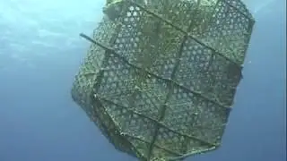 TRADITIONAL FISHERIES IN INDONESIA